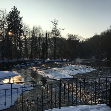 Апартаменты Auf Der Zschopau-Insel Экстерьер фото